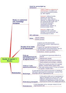 Guide A Kapitel 1. Risiko ARIAL NEW KAP 1 (2)