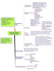 Guide A Kapitel 5. Bedriftsmiljøet ARIAL (2)