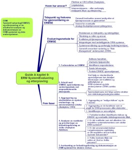 Guide A kapitel 9. ERM Systemevaluering og etterprøving ARIAL (2)